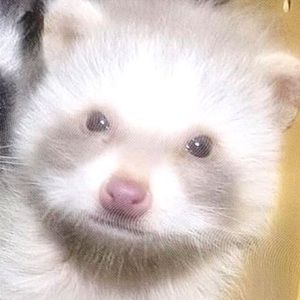 Meet your Posher, Luisa fernanda